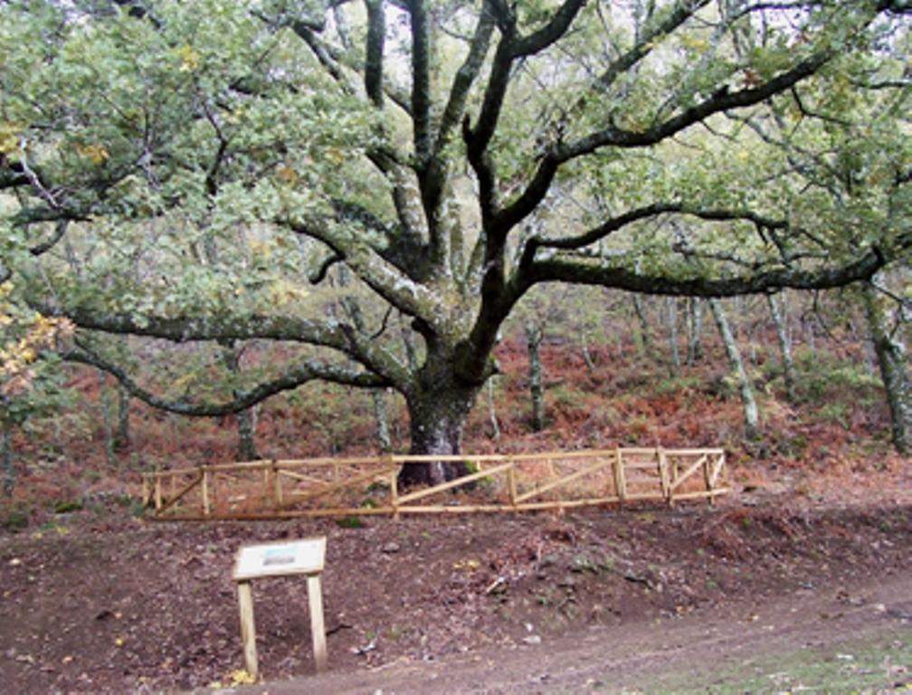 Las Calabazas Barrado Pokój zdjęcie