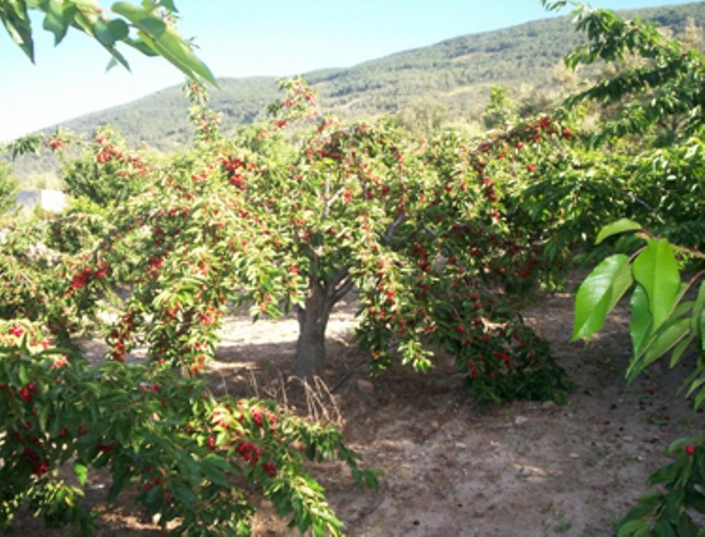 Las Calabazas Barrado Pokój zdjęcie